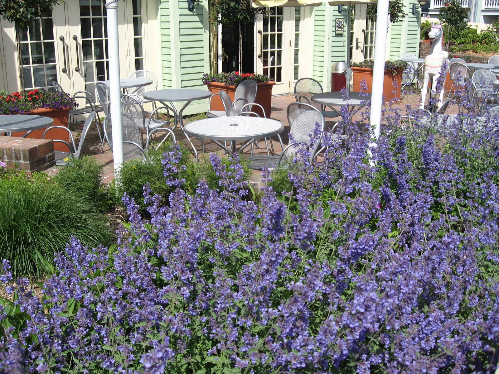 [Michigan2008+095.JPG]