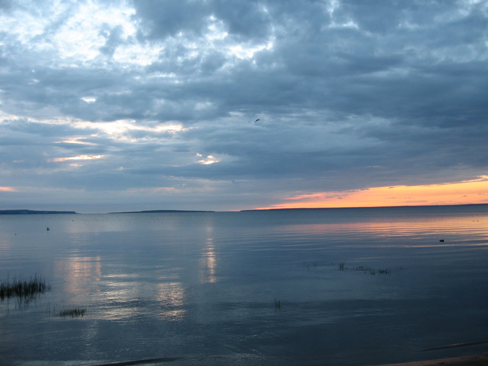 [Michigan2008+036.JPG]