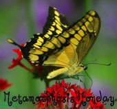 [One_on_sidebar.jpg]