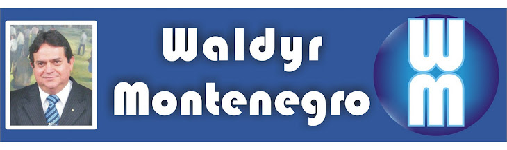 Waldyr Montenegro