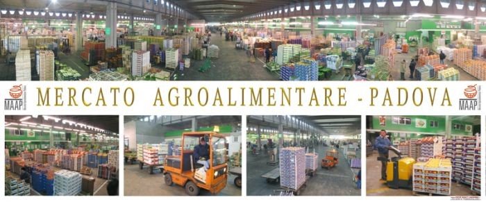 FOTO MERCATO DI PADOVA