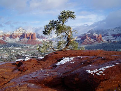 Sedona Snow, Airport Vortex