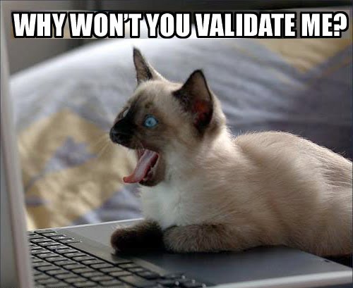 [validate-cat.jpg]