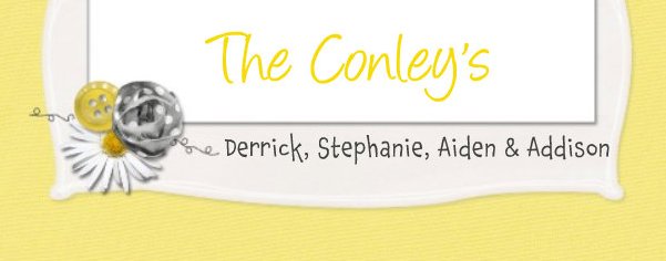 The Conley Family | Welcome to our Perfectly Chaotic Life