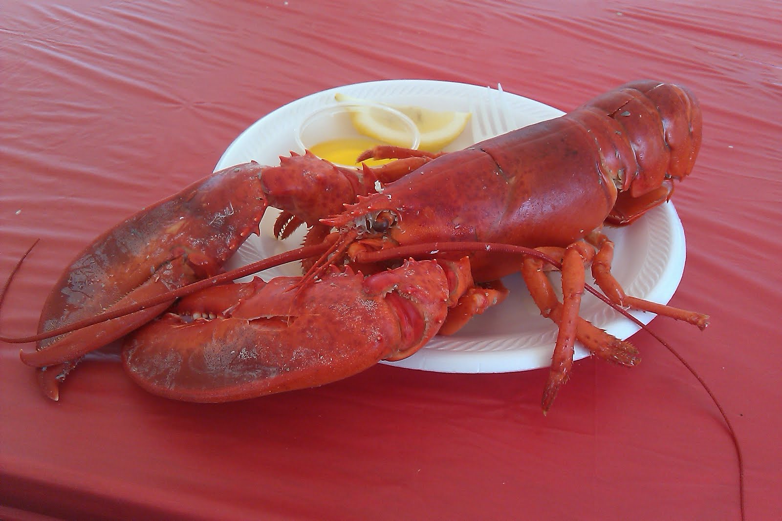 Festive Festival Festivities 35 Inland Seafood Festival Cincinnati