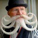 [beard.jpeg]