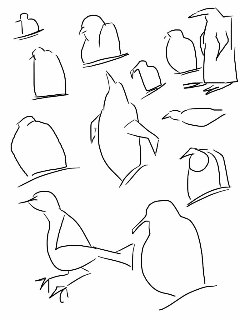 Sketch Penguin