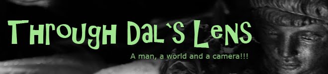 Through Dal`s Lens