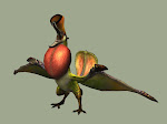 What is this?A strange dodo