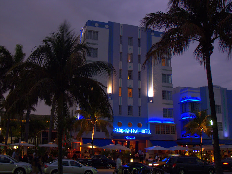 Red Tipped Photinia Toxic Dogs
