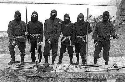 Ninjutsu martial