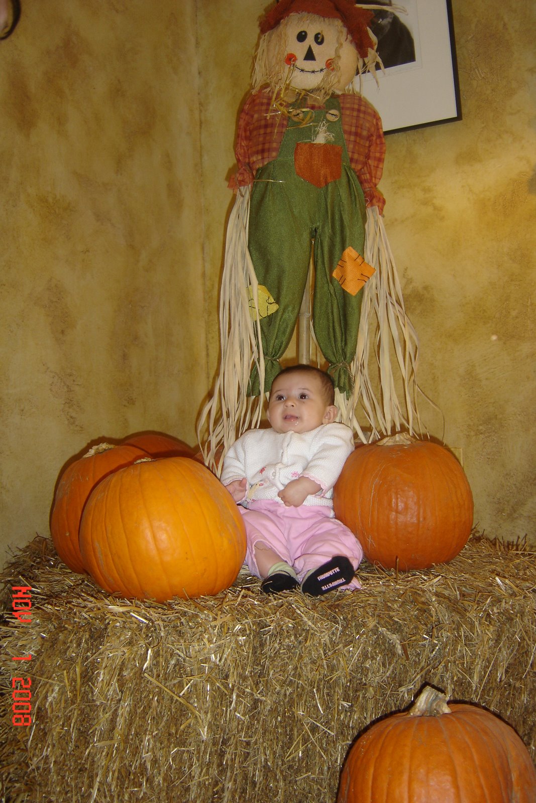 [DSC02828.JPG]