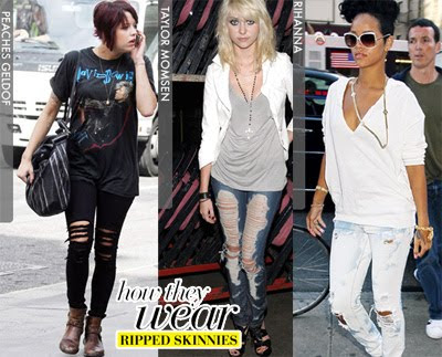Fashion Trend Fashion Trend