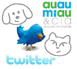 Siga-nos no Twitter