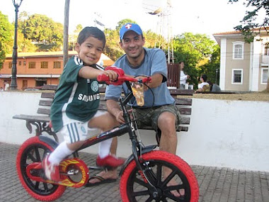 Palmeirenses na vida de uma flamenguista