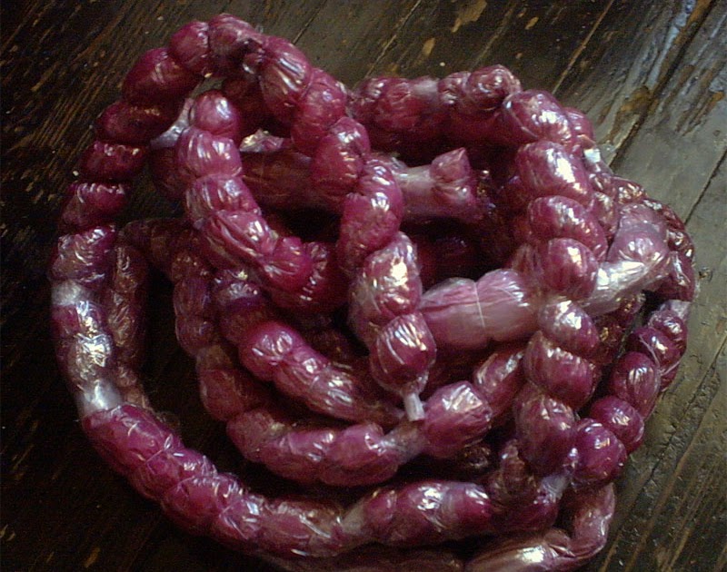 Propnomicon Prop Intestines