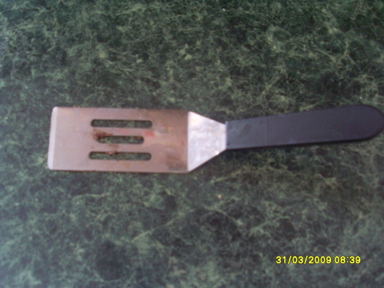 [SL371511.JPG]