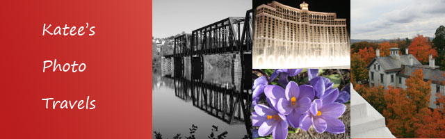 Photo Travels