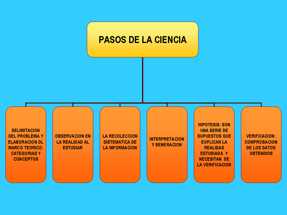 ¿Cuántos Pasos Necesitas Para Un Kilómetro? ¡La Ciencia Responde! - zu3up9b