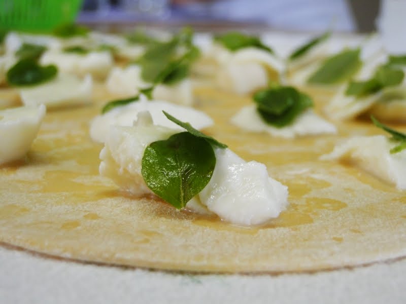 OVELHA ROSA na cozinha Ravioli de mussarela de búfala e manjericão