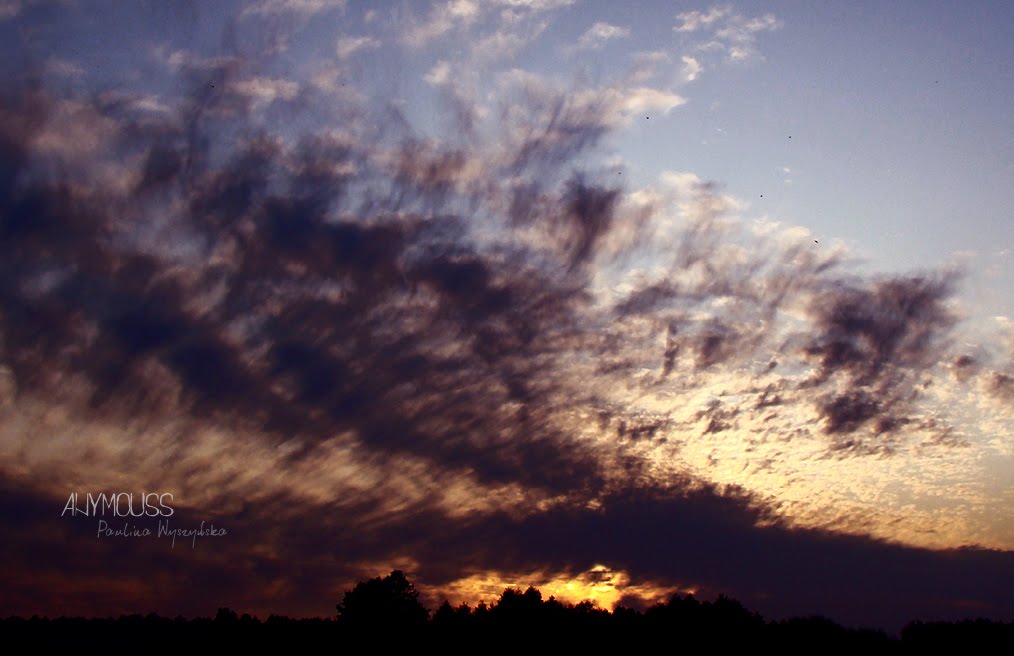 [DSC09691+copy.jpg]