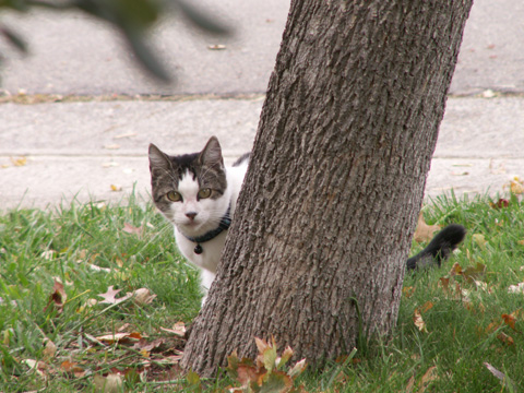 [2007+Oct+15+Mooch+072.jpg]