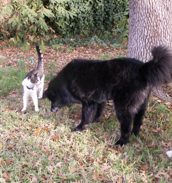[2007+Oct+15+Mooch+&+Sinbad+029.jpg]