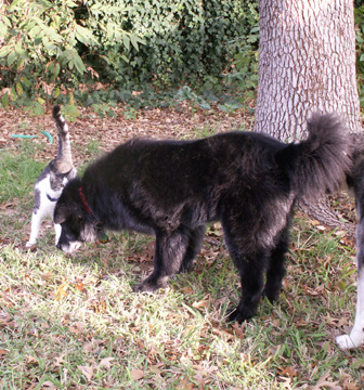 [2007+Oct+15+Mooch+&+Sinbad+030.jpg]
