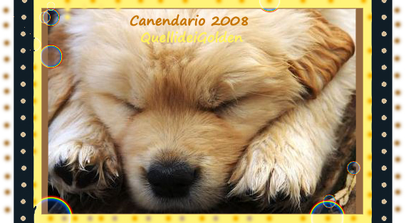 Canendario 2008