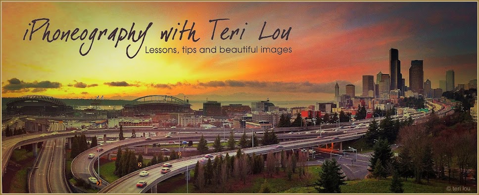 iPhoneography with Teri Lou