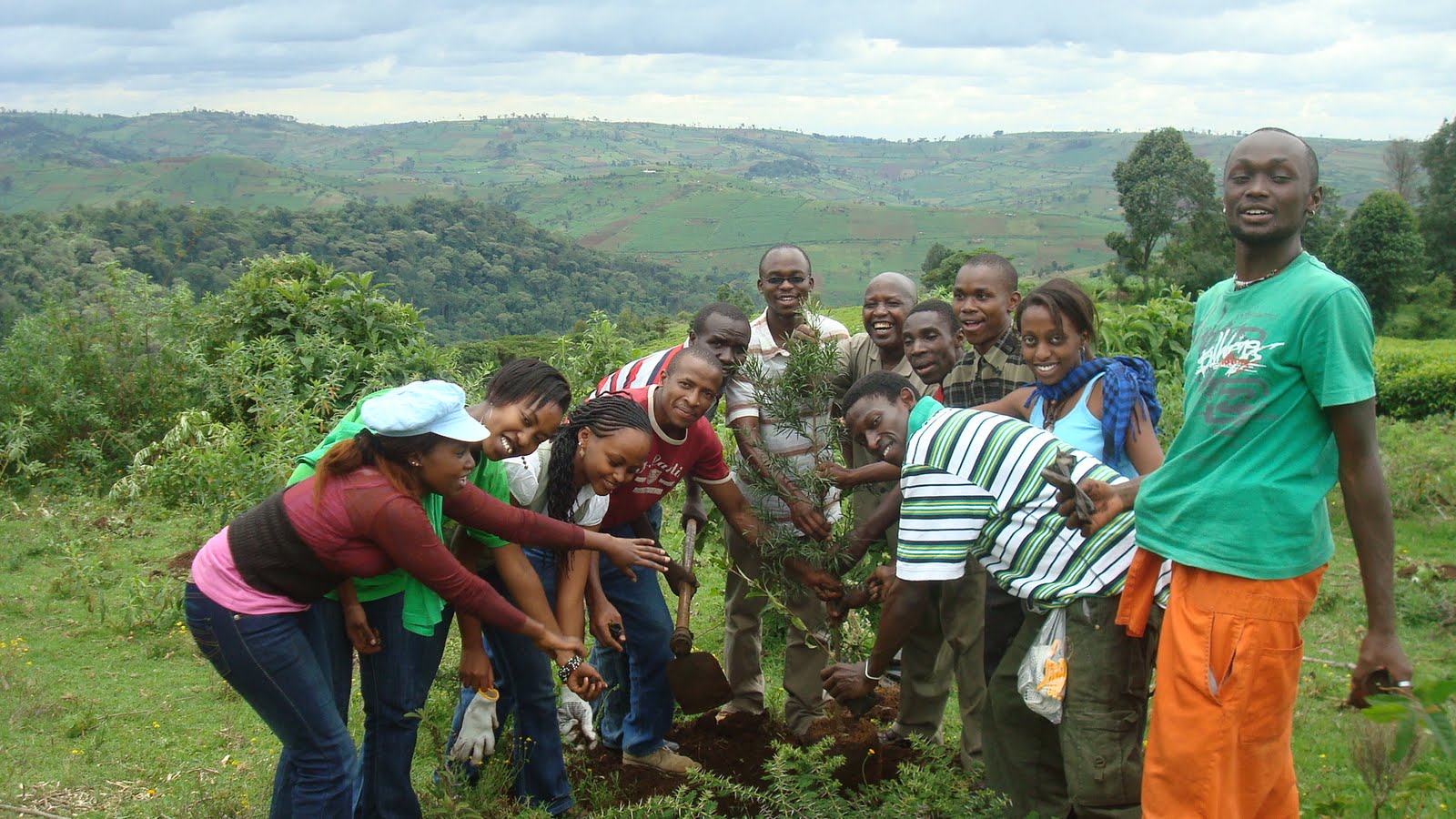 Kenya Forest
