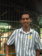 My Photo