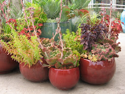 Container Gardens