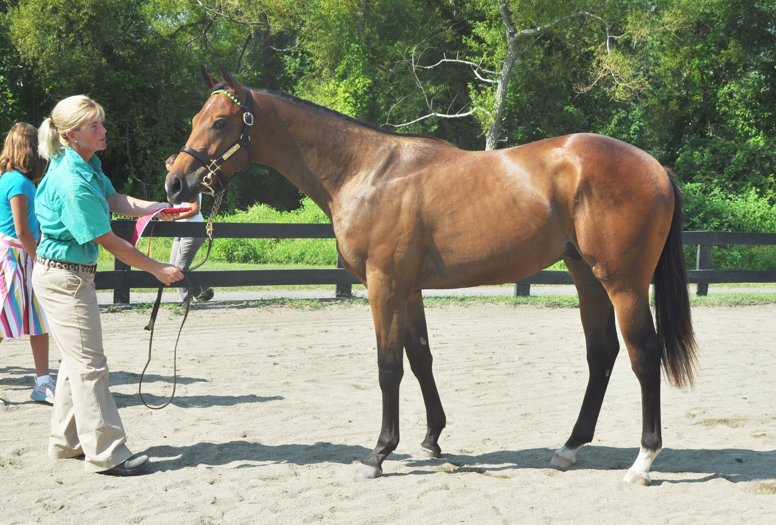 VIRGINIA BREEDERS FUND YEARLING FUTURITY COLTS Virginia Thoroughbred