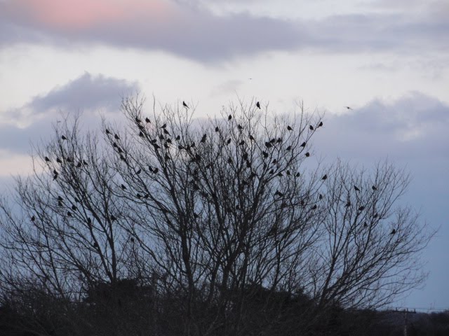 [DSC02275.JPG]