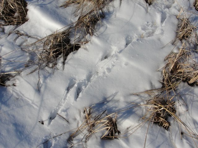 [DSC02172.JPG]