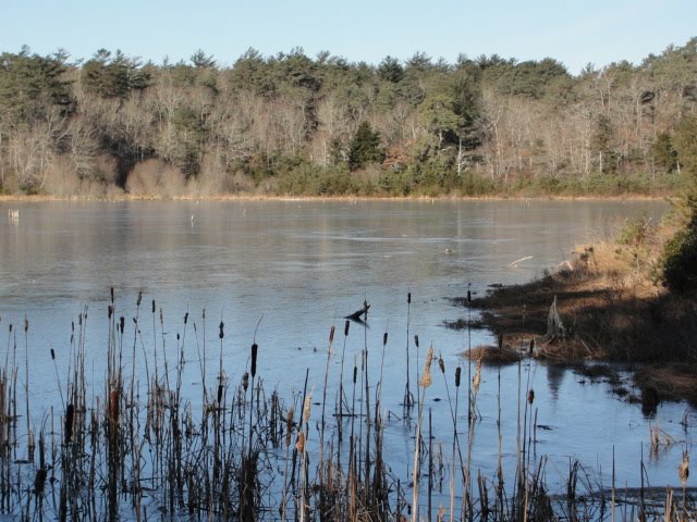 [DSC02474.JPG]