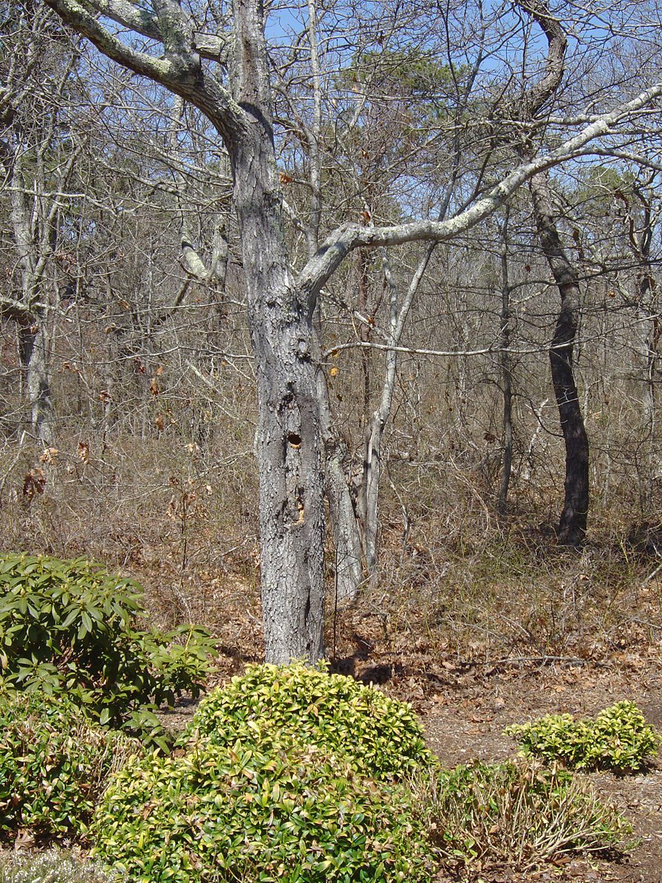 [DSC01023.JPG]