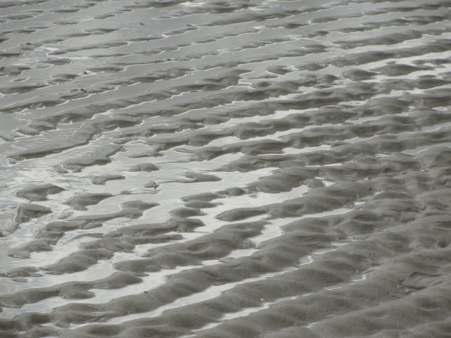 [DSC01691.JPG]