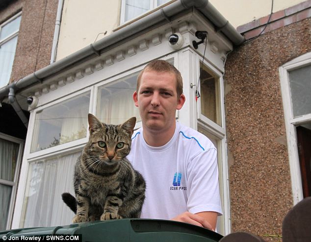 it's everywhere. the story of the woman who put a cat in a wheelie bin 
