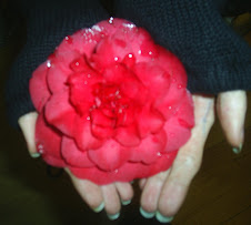 Perfect flower