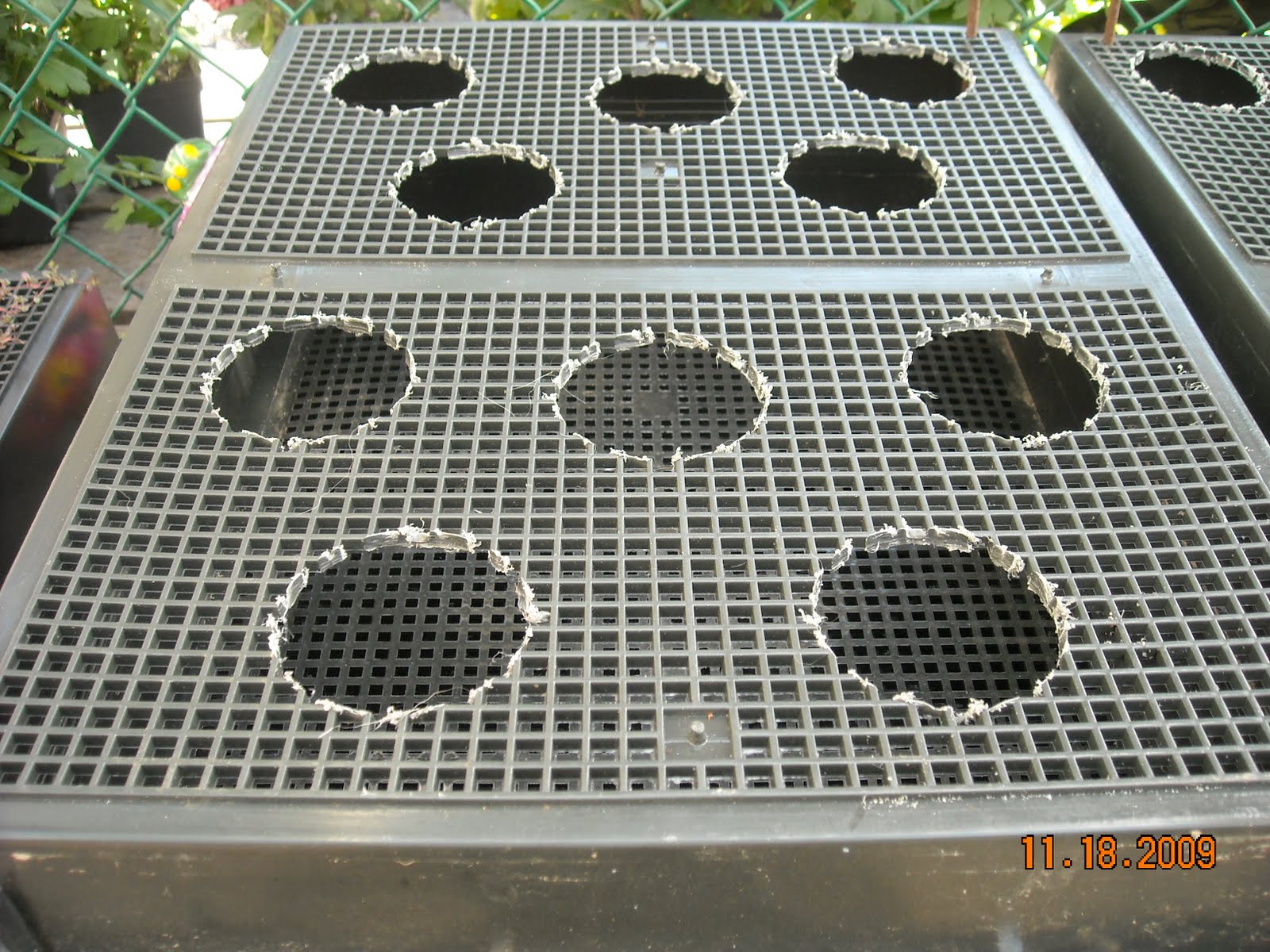 ask Barbara at Honeyman Nursery Living Walls