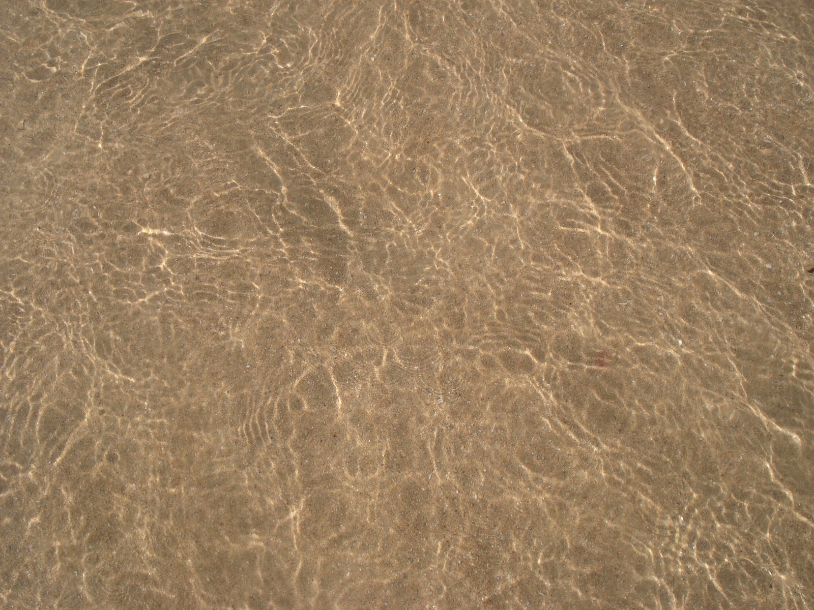[DSC06747.JPG]