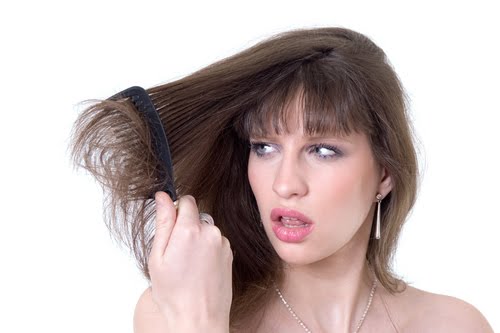 الزيوت الطبيعية لنعومة الشعر..... %D8%AD%D8%A7%D9%81%D8%B6%D9%8A+%D8%B9%D9%84%D9%89+%D9%86%D8%B9%D9%88%D9%85%D8%A9+%D8%B4%D8%B9%D8%B1%D9%83