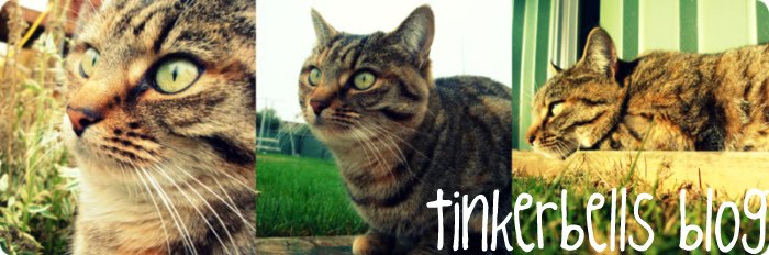 Miss Tinkerbell