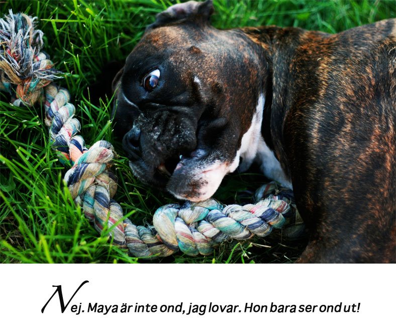 [graphic_maysan.jpg]