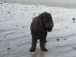 Holly likes the Beach too