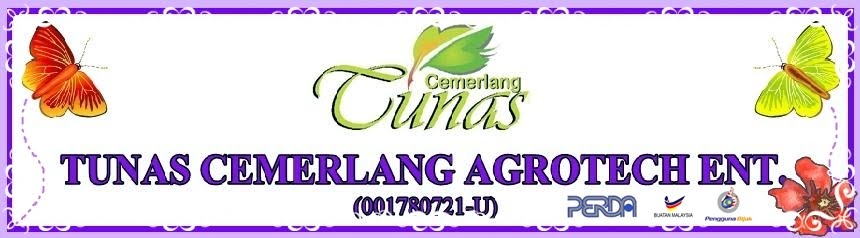 TUNAS CEMERLANG AGROTECH