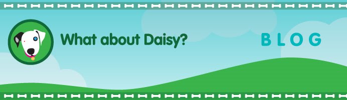What About Daisy?