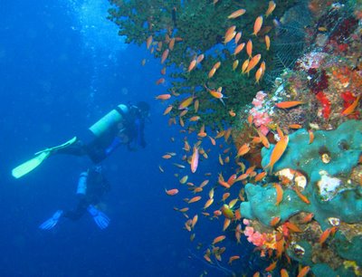 Weh Island, Aceh Snorkeling, Diving